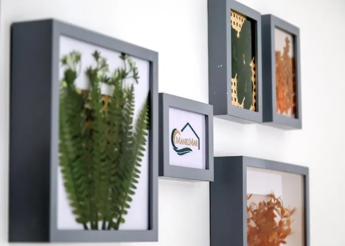 Apartment Manelmar Nazare