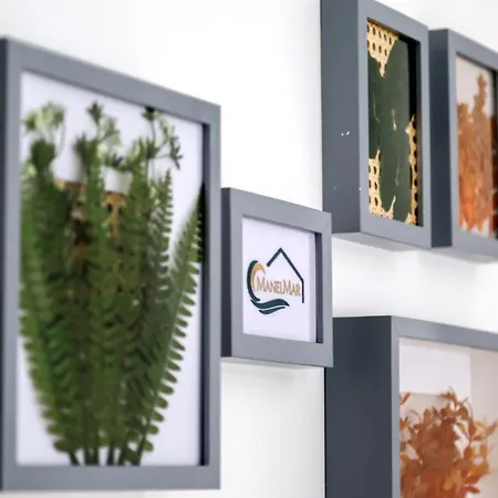 Appartement Manelmar Nazaré